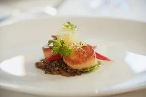 Hotel Arts Kensington Calgary